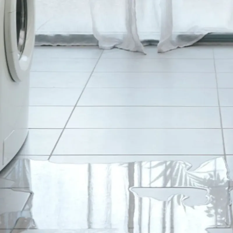 Appliance Leak Cleanup in Fallbrook, CA
