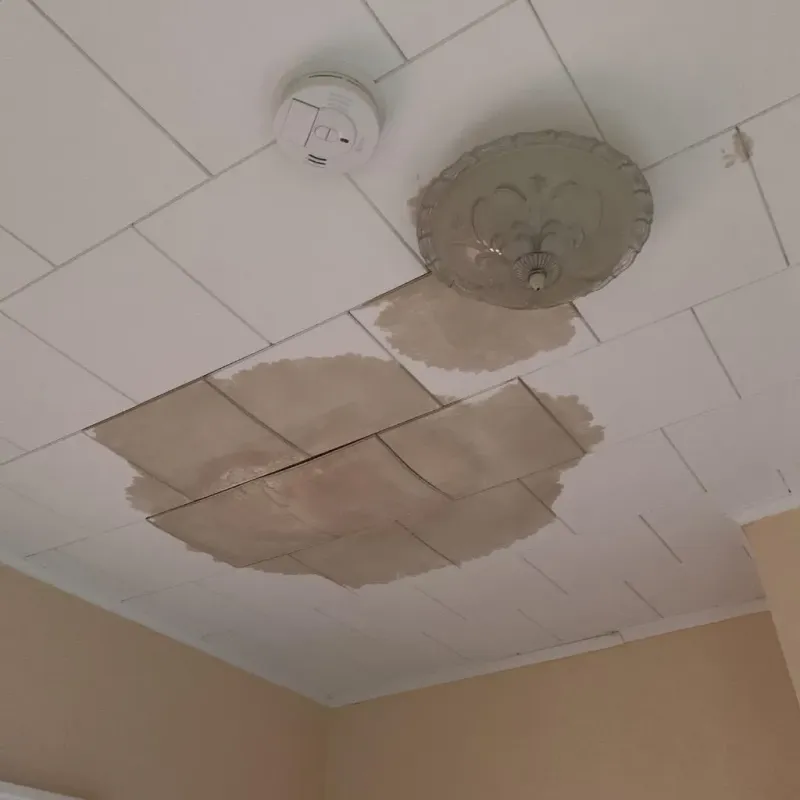 Ceiling Water Damage Repair in Fallbrook, CA